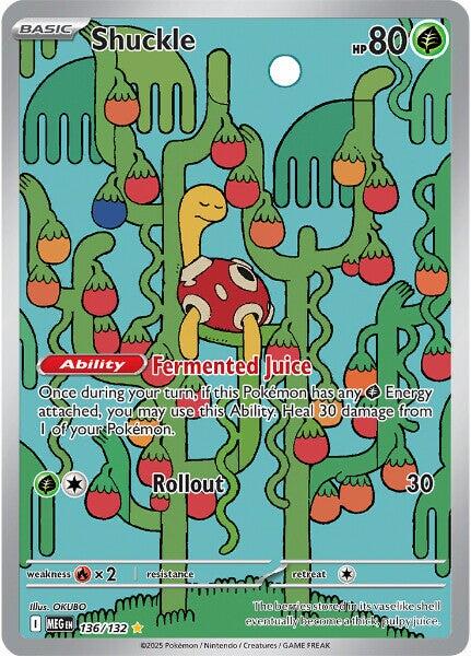 Shuckle #136 Pokemon Mega Evolution